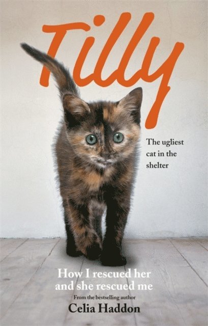 Celia Haddon - Tilly: The Ugliest Cat, E-bok. Tillgänglighet: Lägg i varukorg
