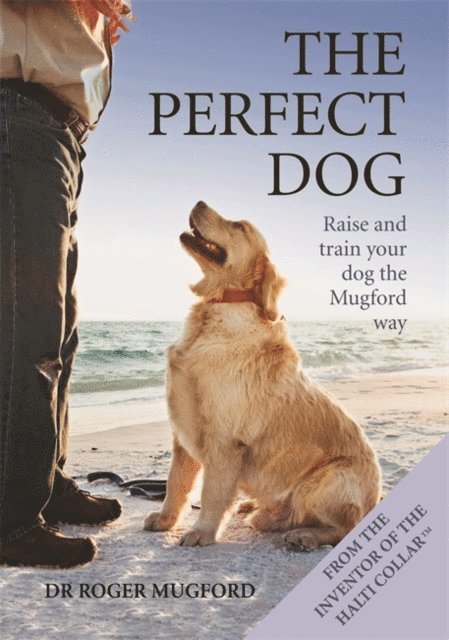Perfect Dog