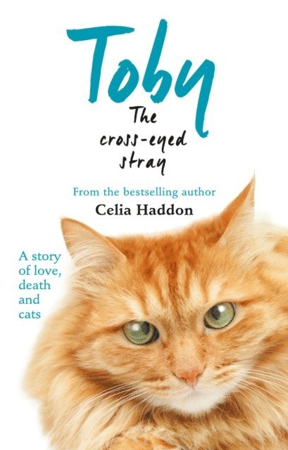 Celia Haddon - Toby The Cross-Eyed Stray, E-bok. Tillgänglighet: Lägg i varukorg