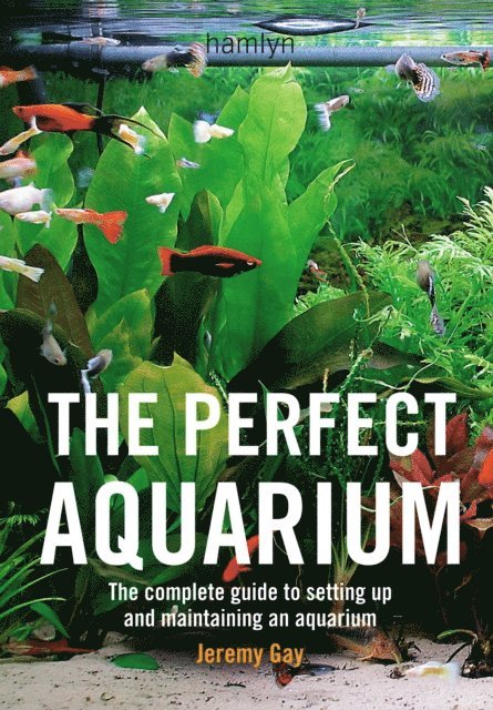 Jeremy Gay - Perfect Aquarium, E-bok