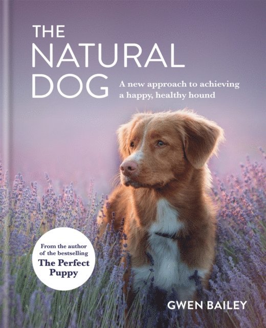 Gwen Bailey - Natural Dog, E-bok
