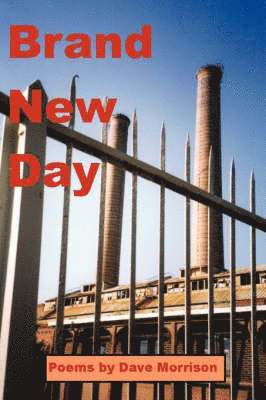 Dave Morrison - Brand New Day, Häftad. Tillgänglighet: Lägg i varukorg