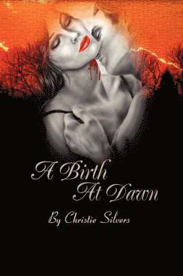 Christie Silvers - Birth at Dawn, Häftad. Tillgänglighet: Lägg i varukorg