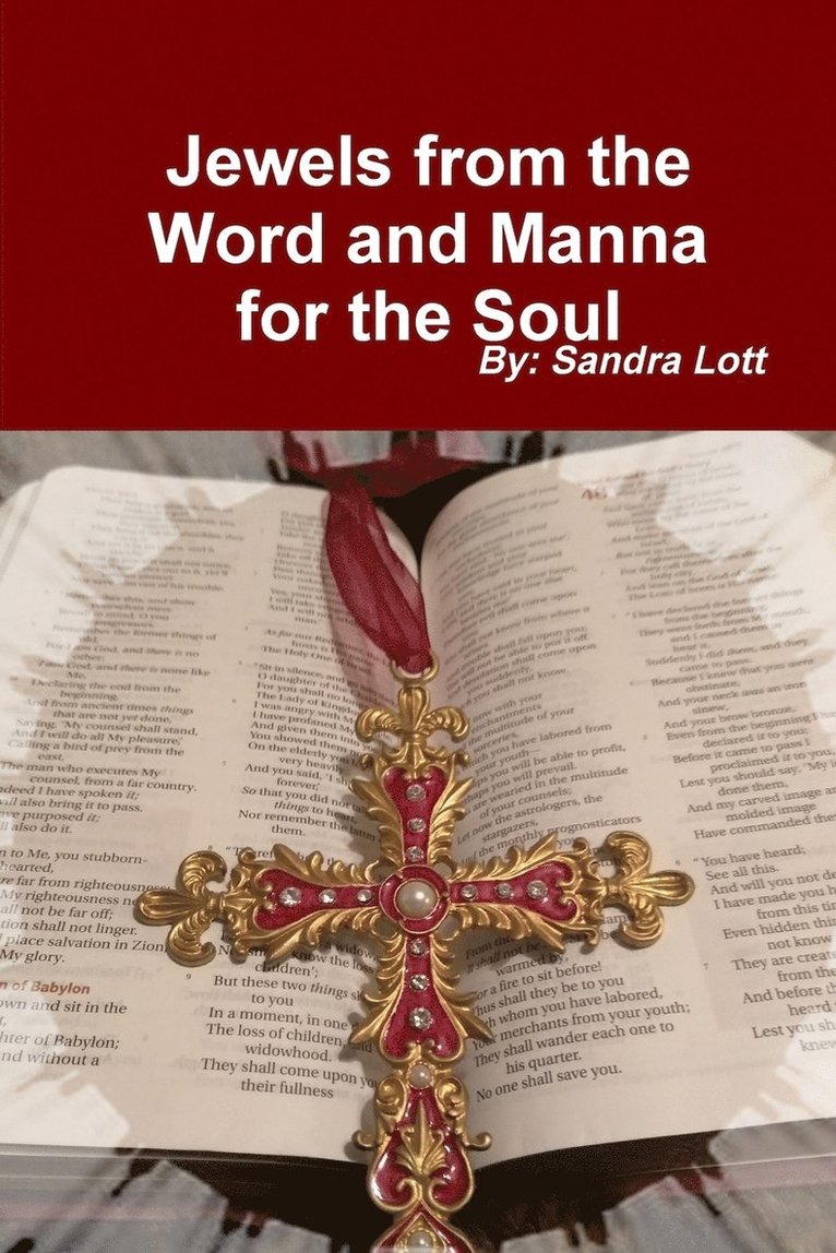 Sandra Lott - Jewels from the Word and Manna for the Soul, Häftad