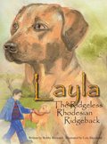 Layla the Ridgeless Rhodesian Ridgeback