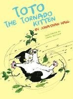Toto the Tornado Kitten