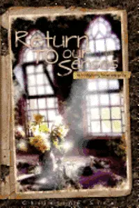 Christine Sine - Return To Our Senses: Reimagining How We Pray, Häftad. Tillgänglighet: Lägg i varukorg