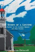 The Storm of a Lifetime: A Report to U.S. Catholic Bishops and Pope Francis