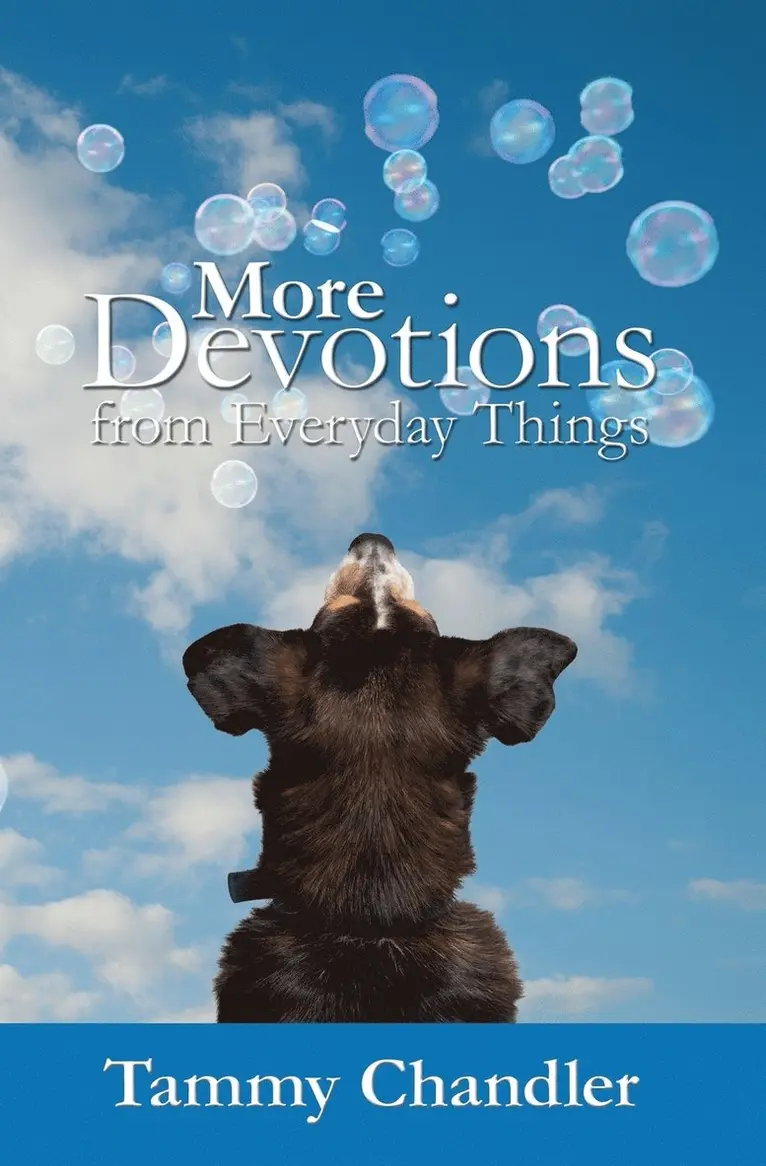 Tammy Chandler - More Devotions from Everyday Things, Häftad. Tillgänglighet: Lägg i varukorg