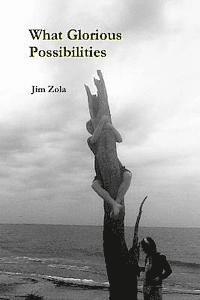 Jim Zola - What Glorious Possibilities, Häftad