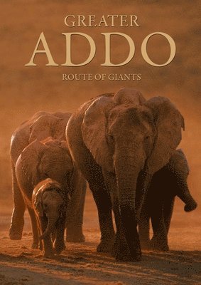 Heinrich Van Den Berg, Ingrid Van den Berg, Phillip van den Berg - Greater Addo, Häftad
