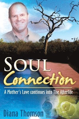 Diana Thomson - Soul Connection, Häftad. Tillgänglighet: Lägg i varukorg
