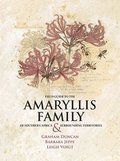 Field Guide to the Amaryllis Family of Southern Africa and Surrounding Territories