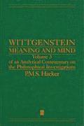Wittgenstein: Meaning and Mind