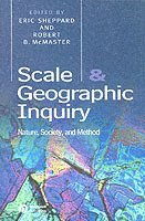 Scale and Geographic Inquiry