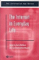 The Internet in Everyday Life