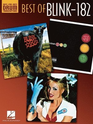 Scott Schroedl - Best of Blink - 182, Övrigt. Tillgänglighet: Lägg i varukorg
