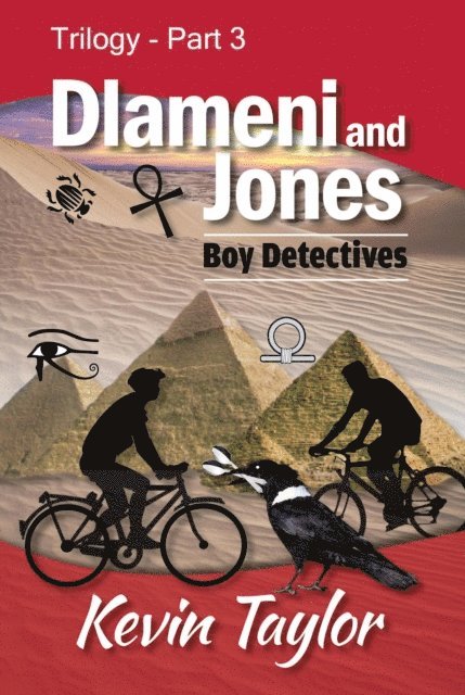 Kevin Taylor - Dlameni & Jones Part 3, E-bok