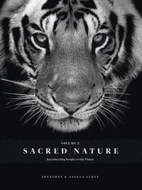 Sacred Nature 2 : Reconnecting People to Our Planet