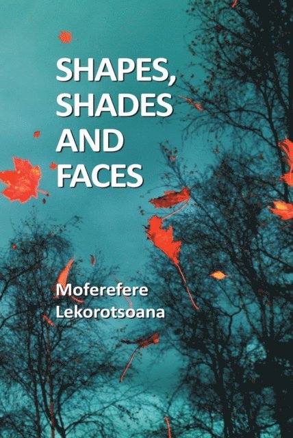 Shapes, Shades and Faces, E-bok
