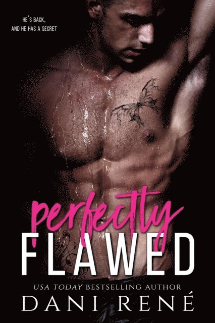 Dani Rene - Perfectly Flawed, E-bok