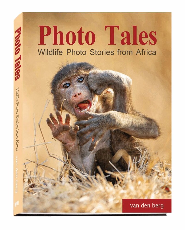 van den berg - Photo Tales, Inbunden