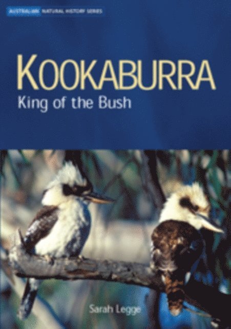 Sarah Legge - Kookaburra, E-bok