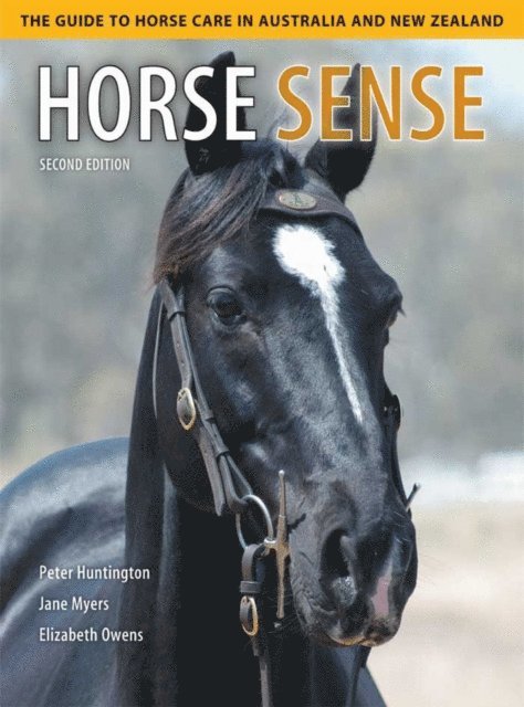 Elizabeth Owens, Jane Myers, Peter Huntington - Horse Sense, E-bok