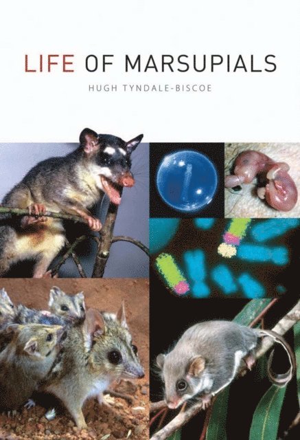 Hugh Tyndale-Biscoe - Life of Marsupials, E-bok
