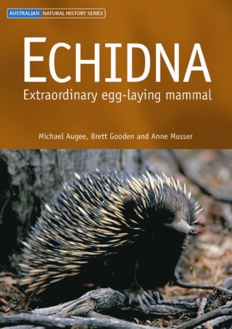 Echidna