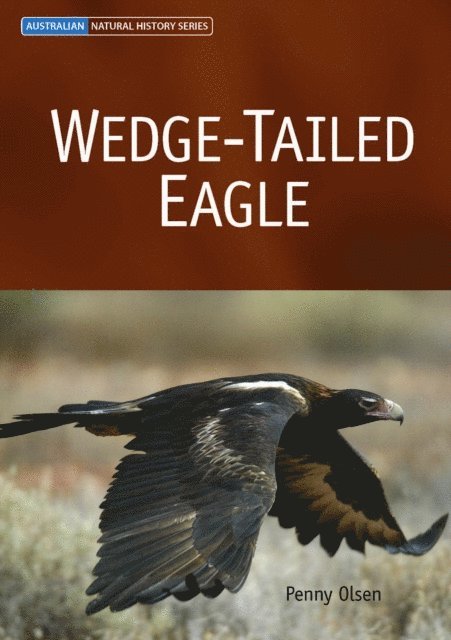 Penny Olsen - Wedge-tailed Eagle, E-bok