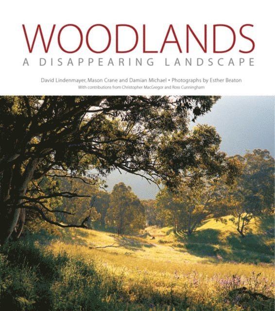 Esther E. Beaton, Damian D. Michael, Mason M. Crane, David D. Lindenmayer - Woodlands, E-bok. Tillgänglighet: Lägg i varukorg