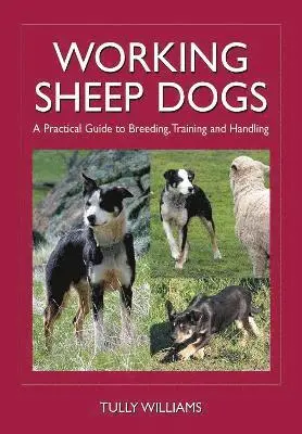 Tully Williams - Working Sheep Dogs, Häftad. Tillgänglighet: Lägg i varukorg