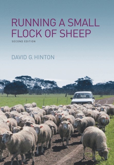 David G Hinton - Running a Small Flock of Sheep, E-bok