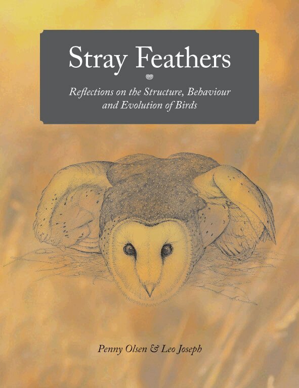 Penny Olsen, Leo Joseph - Stray Feathers, Häftad