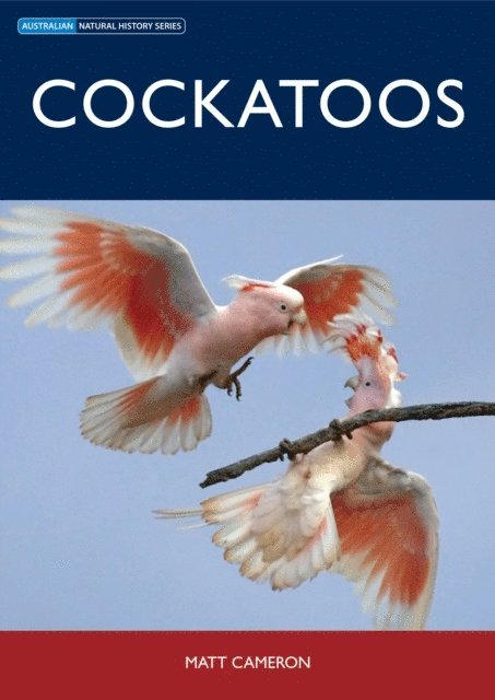 Matt Cameron - Cockatoos, E-bok