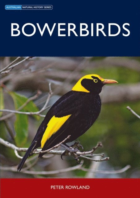 Peter Rowland - Bowerbirds, E-bok