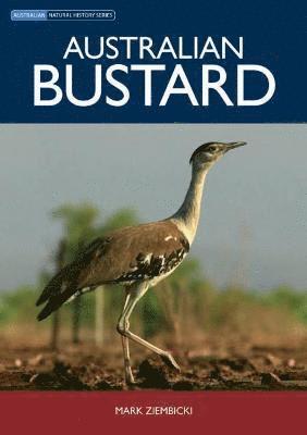 Mark Ziembicki - Australian Bustard, Häftad. Tillgänglighet: Lägg i varukorg