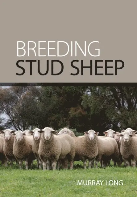 Murray Long - Breeding Stud Sheep, E-bok. Tillgänglighet: Lägg i varukorg