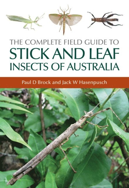 Jack W Hasenpusch, Paul D Brock - The Complete Field Guide to Stick and Leaf Insects of Australia, E-bok