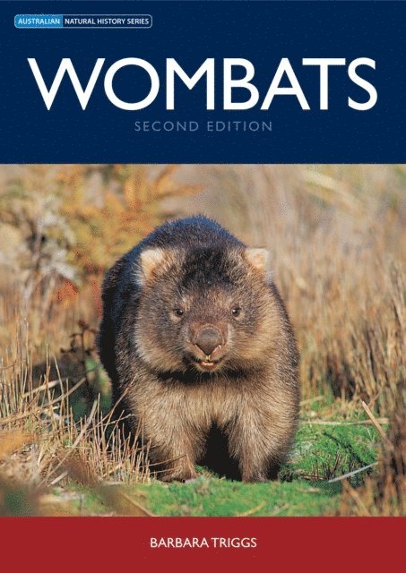 Wombats