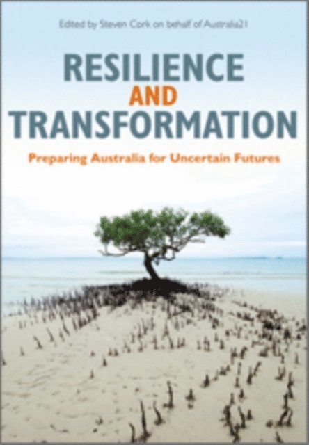Steven Cork - Resilience and Transformation, E-bok