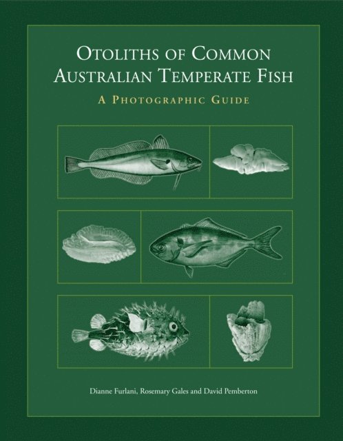 David Pemberton, Rosemary Gales, Dianne Furlani - Otoliths of Common Australian Temperate Fish, E-bok