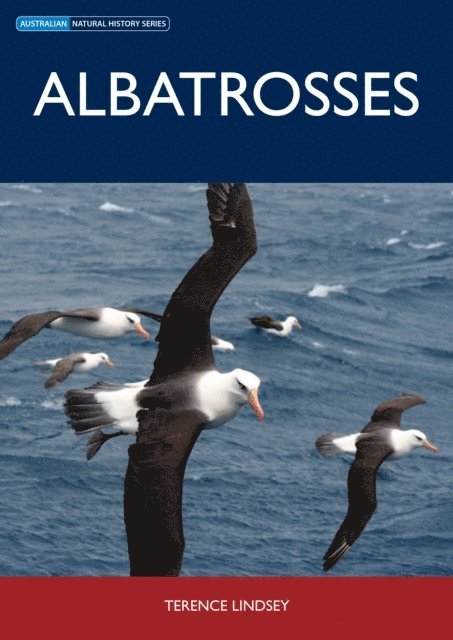 Albatrosses