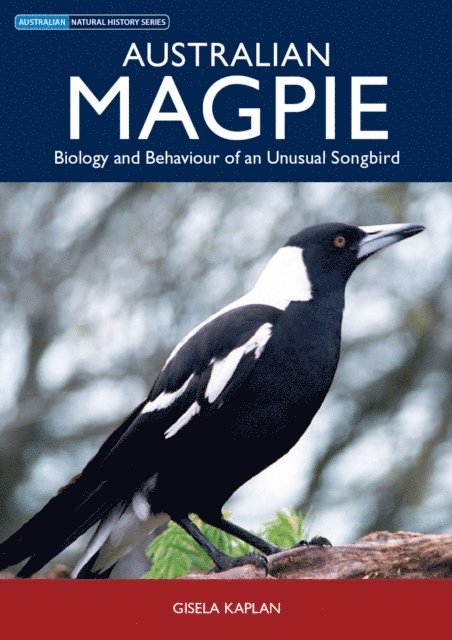 Gisela Kaplan - Australian Magpie, E-bok