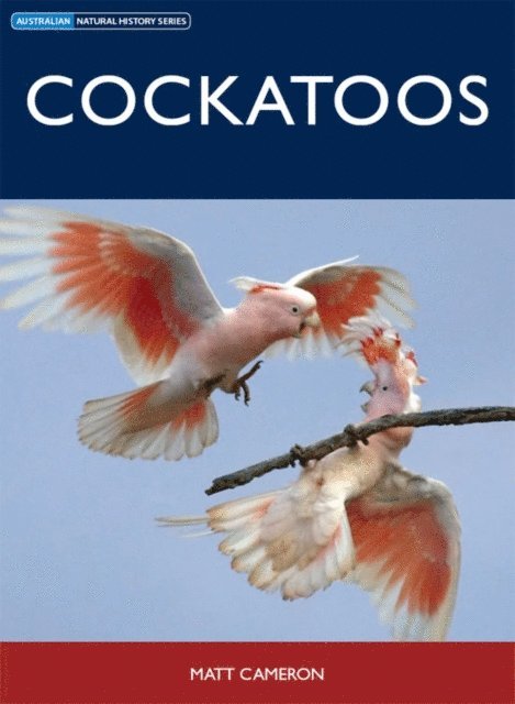 Matt Cameron - Cockatoos, E-bok