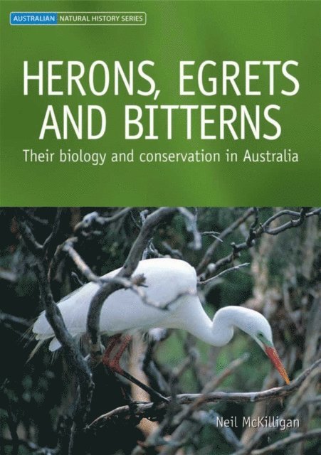 Neil McKilligan - Herons, Egrets and Bitterns, E-bok. Tillgänglighet: Lägg i varukorg