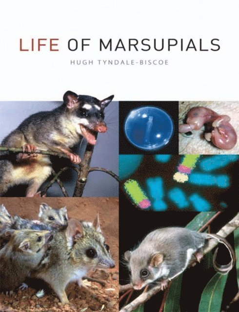 Hugh Tyndale-Biscoe - Life of Marsupials, E-bok