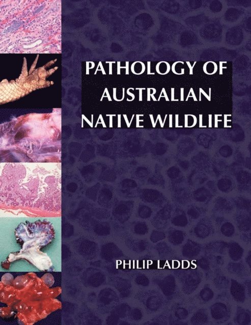 Pathology of Australian Native Wildlife