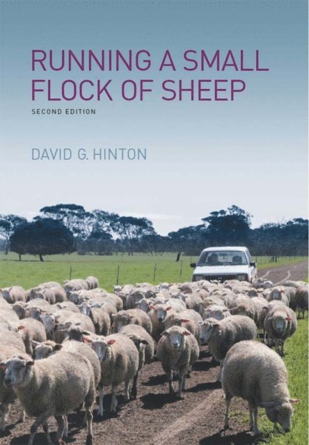 David G Hinton - Running a Small Flock of Sheep, E-bok